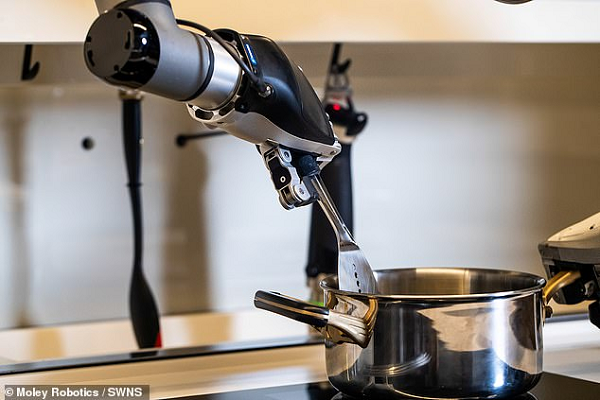 Robot Moley có hai cánh tay robot với hai "bàn tay" đầy đủ khớp nối do Moley Robotics hợp tác với Schunk - nhà sản xuất robot vào loại hàng đầu thế giới của Đức. Cánh tay của Moley được cho là có thể tái tạo lại các cử động của đôi tay người một cách chân thực và chính xác.
