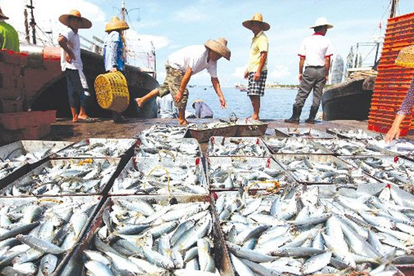 Trong thời gian tới, một số đảo quốc có thể sẽ bị chìm do nước ở Thái Bình Dương dâng lên.