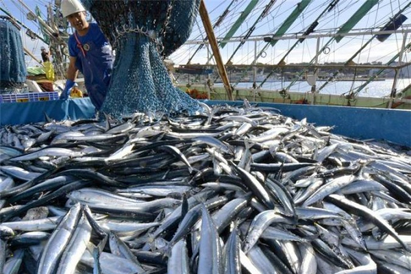 Theo ông Asok Khosla, Chủ tịch Hiệp hội quốc tế Bảo vệ Thiên nhiên (IUCN) Trái đất đã bước vào giai đoạn tuyệt chủng thường kỳ của sinh quyển, kết quả là hàng nghìn loài sẽ bị diệt vong.