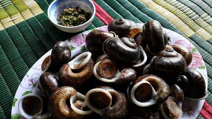 Ốc đá suối Bó Sập là món ăn dân dã nhưng rất được săn đón vào mùa mưa. Ốc sống trong các khe đá tự nhiên, vỏ mỏng, thân giòn. Ốc có thể luộc, hấp sả, hoặc xào với mắc khén. Điểm đặc biệt là ốc ngọt, thơm và hoàn toàn không có vị tanh. Đây là món ăn thể hiện sự tinh tế của người dân khi khai thác tài nguyên tự nhiên một cách khéo léo và bền vững. Ảnh MIA