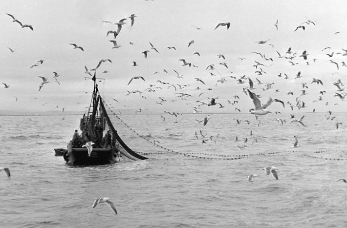 Các phương tiện tham gia giao thông ở bán đảo gồm máy bay, trực thăng, thuyền và ô tô. Không hề có tuyến đường sắt nào trên bán đảo này. Ảnh: Một ngư dân kéo lưới đánh cá ở vịnh Olyutorsky.
