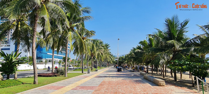 Những con đường rợp bóng dừa xanh.