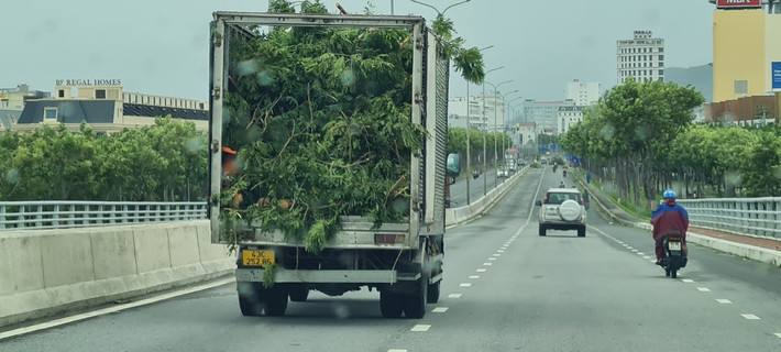 Công tác khắc phục hậu quả bão số 4 đang được thành phố gấp rút triển khai. >>> Mời độc giả xem thêm video Bão số 12 giật cấp 10, mưa to Trung Bộ và Tây Nguyên, Biển Động xuất hiện bão số 13: