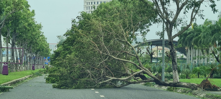Đây là nhiệm vụ cấp thiết để đảm bảo an toàn giao thông.