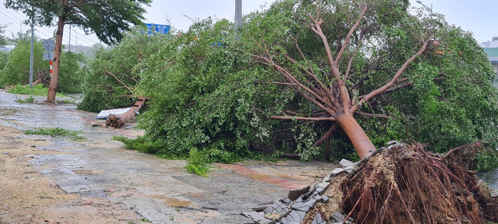 Công tác dọn vệ sinh môi trường sau bão đang được thành phố gấp rút triển khai. >>> Mời độc giả xem thêm video Sau cơn bão số 2 - Talas | Mưa lớn làm nhiều điểm ngập lụt ở Hà Nội: