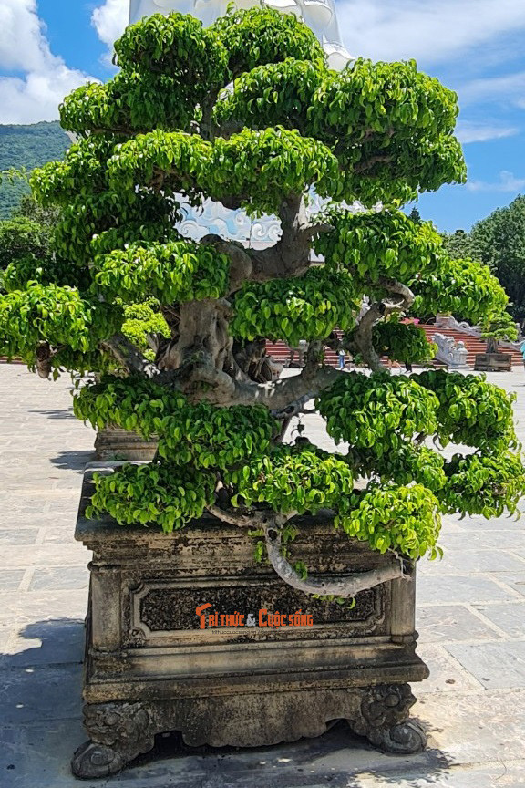 anh được tạo nhiều dáng, thế khác nhau.
