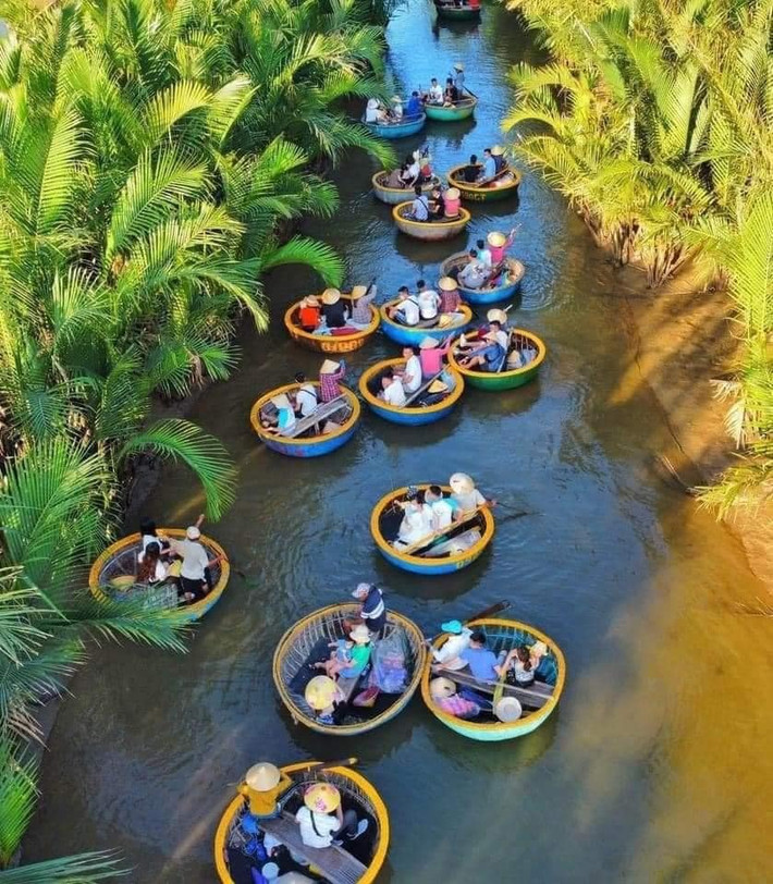Rừng dừa Bảy Mẫu mang đậm nét của miền Tây với rừng dừa hoang sơ xanh ngát, chạy dài thẳng tắp dọc theo hai bên bờ sông