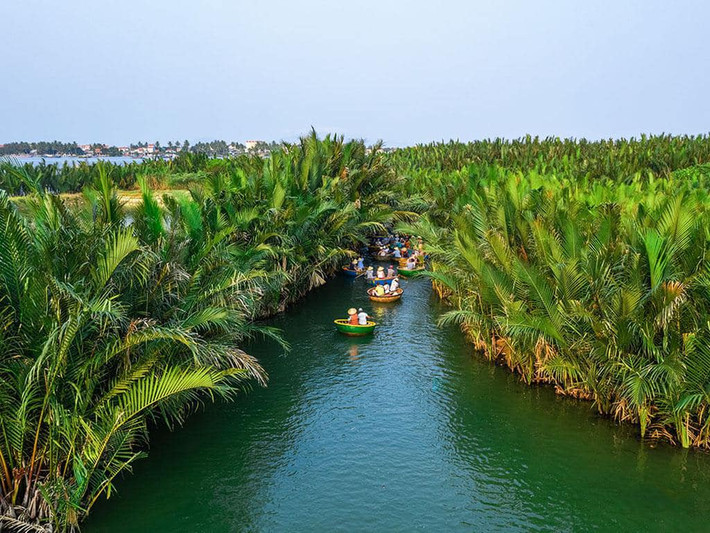 Ngày nay, rừng dừa có diện tích lên đến 100 ha, trải dài mênh mông như một dải lụa xanh ngát điểm xuyết cho vùng đất cửa biển.