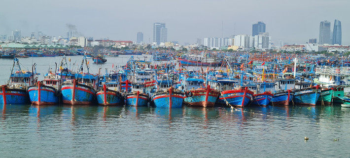 Hiện tại, thành phố Đà Nẵng vẫn còn 35 tàu cá hoạt động trên biển, trong đó có 7 tàu gần bờ, số còn lại đang được hướng dẫn để ngư dân thoát ra khỏi vùng nguy hiểm và dịch chuyển vào gần bờ an toàn.
