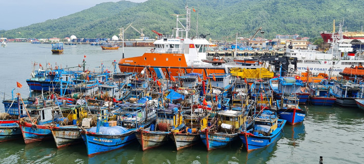 Bộ Chỉ huy Bộ đội Biên phòng thành phố Đà Nẵng đang tiếp tục phối hợp với Ban quản lý âu thuyền và cảng cá Thọ Quang hướng dẫn, sắp xếp tàu thuyền của ngư dân Đà Nẵng và các tỉnh miền Trung neo đậu, trú bão an toàn trong âu thuyền.