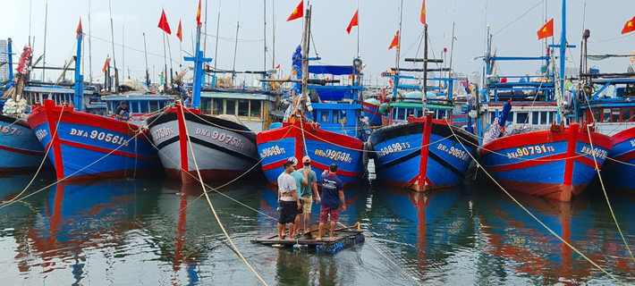 Các đơn vị chức năng của thành phố Đà Nẵng đã tổ chức hướng dẫn, sắp xếp các tàu neo đậu an toàn.