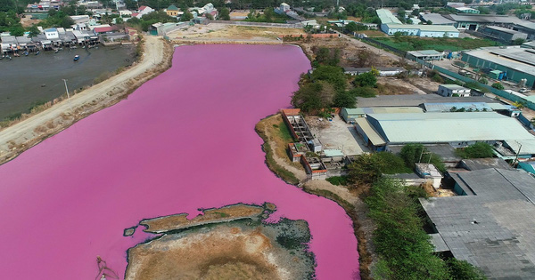 Viện Sinh học nhiệt đới kết luận rằng màu sắc lạ của hồ do tảo lục Dunaliella salina không ảnh hưởng gì lớn, nên giữ nguyên hiện trạng hồ hiện tại.