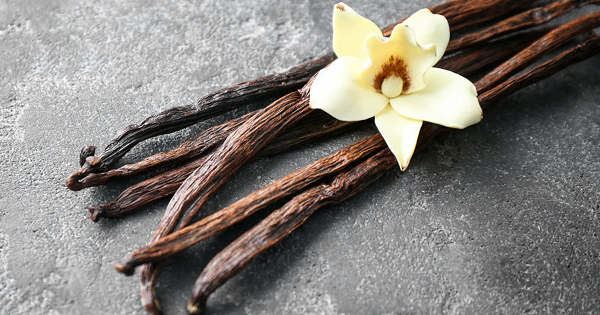 Vani là một trong những loại hương liệu đắt nhất thế giới, ở một số nơi vani còn đắt hơn cả bạc với cái giá đôi khi lên đến 600 USD/kg (hơn 13 triệu/kg).