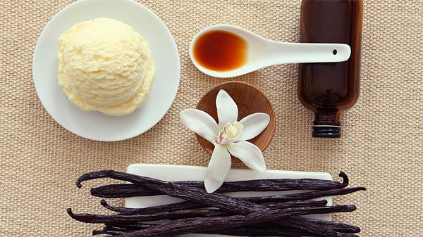 Đặc biệt, chỉ có duy nhất một loại ong có thể thụ phấn cho hoa vani, đó chính là loài ong Melipona chỉ tồn tại ở khu vực Mexico. Điều này đồng nghĩa là có đến 99% vani trên thế giới được thụ phấn bằng tay.