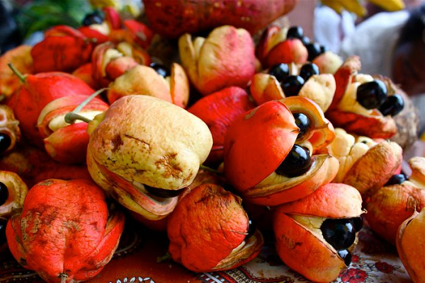 Với món ăn chế biến từ quả ackee, người Jamaica ăn cùng với cá muối (thường làm từ cá tuyết). Đầu bếp Cuthbert Binns vốn là bếp trưởng một nhà hàng lâu năm tại Jamaica chia sẻ cách chế biến sao cho bổ dưỡng mà không sợ ngộ độc.