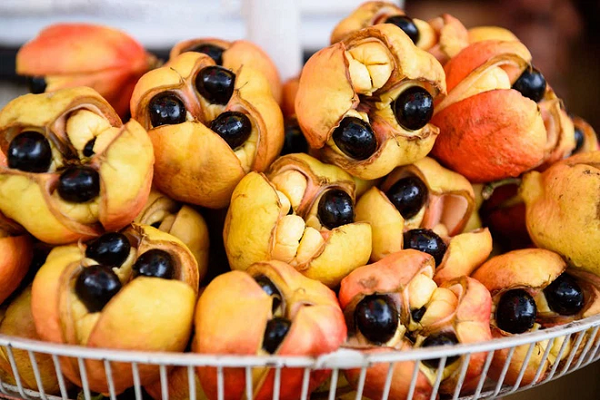 Loại trái cây này được nhập khẩu vào Jamaica từ Đông Phi trước năm 1725. Ngày nay, quả ackee đóng hộp và là một trong những mặt hàng xuất khẩu chính của Jamaica.