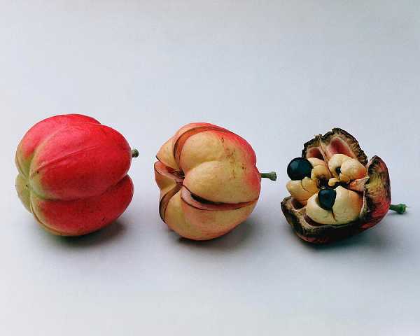 Ackee và cá tuyết cũng có thể được ăn với cơm và đậu Hà Lan hoặc gạo trắng. Tại khu vực Tây Phi, hạt và vỏ loại trái cây này còn dùng làm xà phòng tẩy rửa.