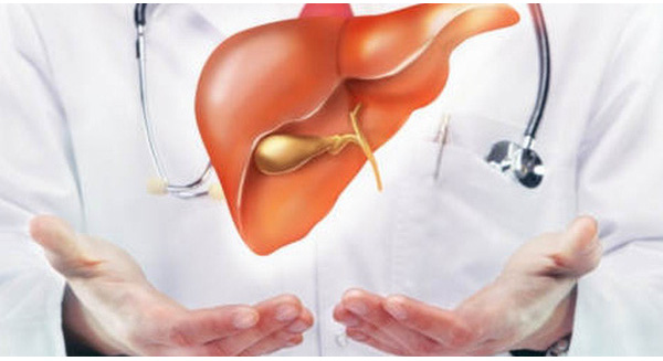 Bước tiếp theo, các nhà khoa học sẽ ứng dụng kỹ thuật này trên sản xuất gan người với mong muốn đảm bảo nhân loại có đủ gan thay thế trong tương lai.