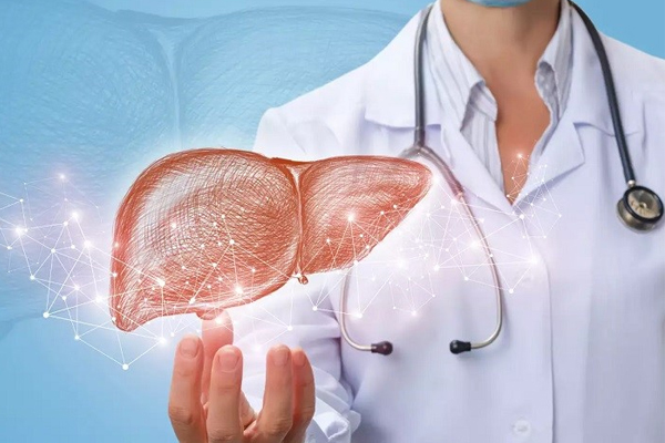 Quá trình sản xuất gan phụ thuộc vào phương pháp phân hóa tế bào và tái cấu trúc tế bào. Đây hai công nghệ sinh học mới phát triển trong vài năm trở lại đây. Hai công nghệ đó đã và đang giúp ích nhiều trong sản xuất nội tạng.