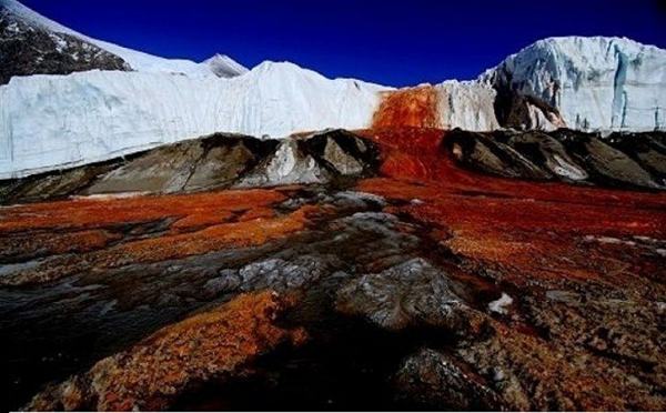 Thung lũng McMurdo ở Nam Cực vốn là một trong những nơi bị cô lập và khắc nghiệt nhất trên Trái đất. Theo các chuyên gia, không gì có thể tồn tại tại nơi có nhiệt độ âm và luôn duy trì ở trạng thái thời tiết cực kỳ băng giá này.
