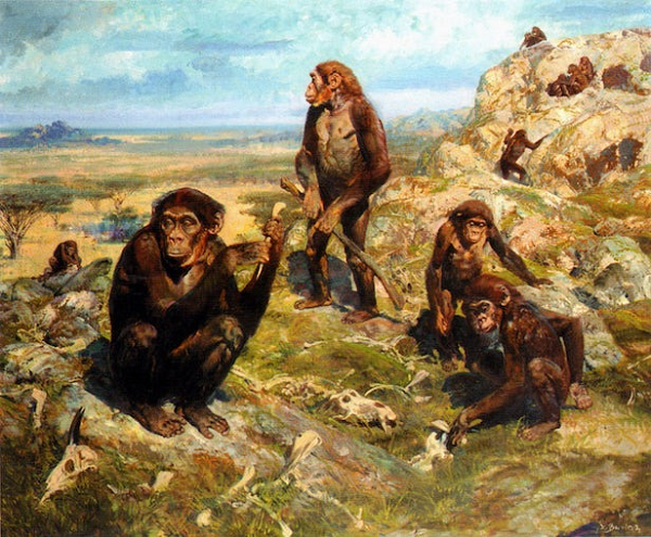 Điều này vẫn duy trì cho đến loài chúng ta, chỉ có điều Homo sapiens thì khẩu phần lại đa dạng thêm một bậc, ăn nhiều cá và cây lương thực, cũng là điều khiến chúng ta sống sót khi môi trường địa cầu thay đổi, việc săn bắn trở nên khó khăn hơn.