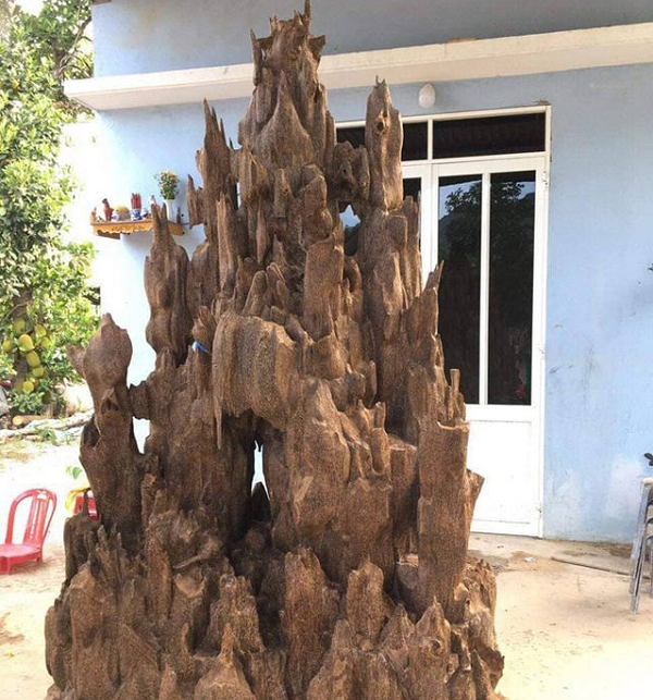Lũa trầm hương là phần lõi ở gốc của cây có trầm hương sau khi đã bị chết. Đây là phần lõi của cây dó bầu nên rất cứng và không bao giờ bị mối mọt, mục nát hay chịu những tác động của các nhân tố tự nhiên như nắng, mưa, côn trùng,…