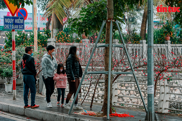 Nhiều người đã đi chọn mua cây cảnh từ thời điểm này.