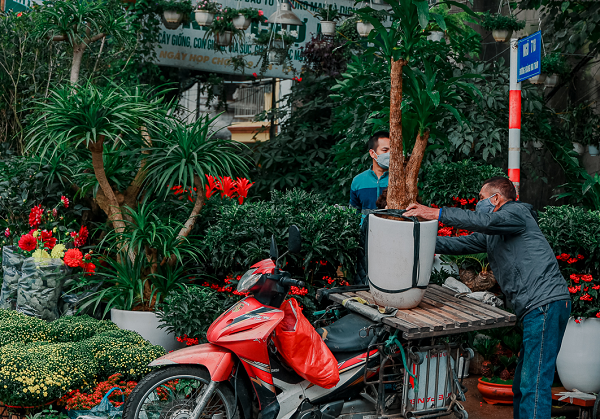 Hoa ở đây được bày bàn đa dạng chủng loại, màu sắc, với nhiều mức giá khác nhau.