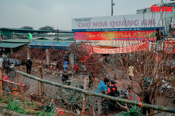 Chợ hoa Quảng An nằm ở phường Quảng An, quận Tây Hồ mở cửa quanh năm.