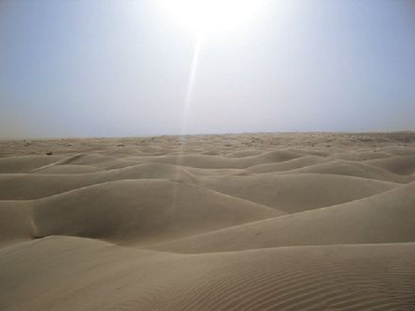 Tầng Ozone là lớp bảo vệ quan trọng cho Trái Đất khỏi bức xạ gây hại. "Do vậy, cần tránh bổ sung I-ốt vào tầng bình lưu" - giáo sư Rainer Volkamer, tác giả chính của nghiên cứu, cảnh báo.