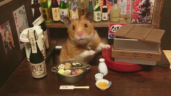 Kết quả là những con hamster đã say xỉn. Chúng ngã bổ nhào ngay từ liều ethanol rất thấp được tiêm vào máu. Hoá ra, mấu chốt vấn đề nằm ở chỗ hamster tiêu hoá rượu rất tốt ở gan.