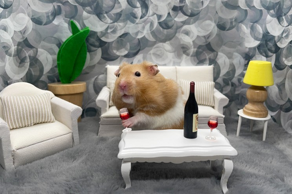 Theo nghiên cứu của các nhà khoa học, chuột hamster có tửu lượng tốt nhất trong thế giới động vật. Kết quả khiến nhiều người kinh ngạc về loài sinh vật có kích thước, ngoại hình ngộ nghĩnh, được nhiều người lựa chọn làm thú cưng.