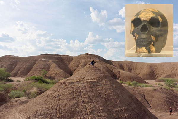 Omo I đại diện cho một Omo sapiens tiến hóa hoàn chỉnh, mang đặc điểm rõ ràng của người hiện đại như vòm sọ hình cầu cao và một cái cằm rõ ràng.