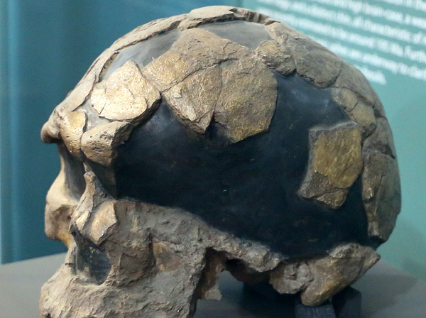 Hài cốt hóa thạch Omo I được khai quật giữa tro núi lửa tại Ethiopia năm 1960, nó thuộc về Homo sapiens, tức "người tinh khôn" hay "người hiện đại", tức loài của chúng ta.