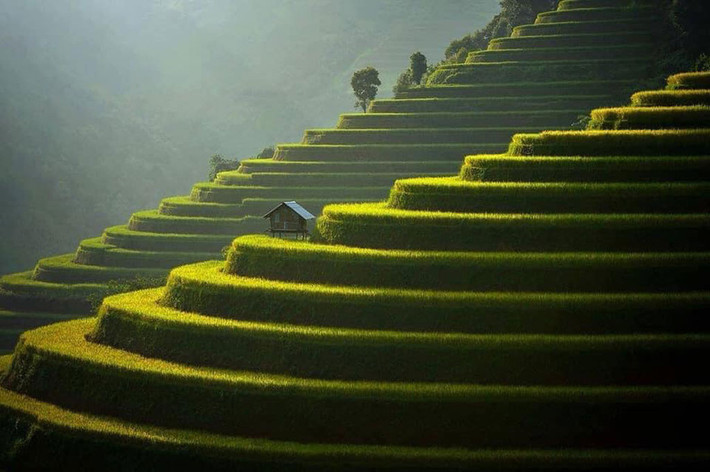 Mới đây Big 7 Travel (website nổi tiếng về du lịch hướng dẫn về các điểm đến hấp dẫn trên thế giới, những trải nghiệm phải thử) đã công bố danh sách 50 điểm đến đẹp nhất năm 2020. Trong số 50 điểm đến được Big 7 Travel công bố, Mù Cang Chải của (Yên Bái) xếp thứ 21.