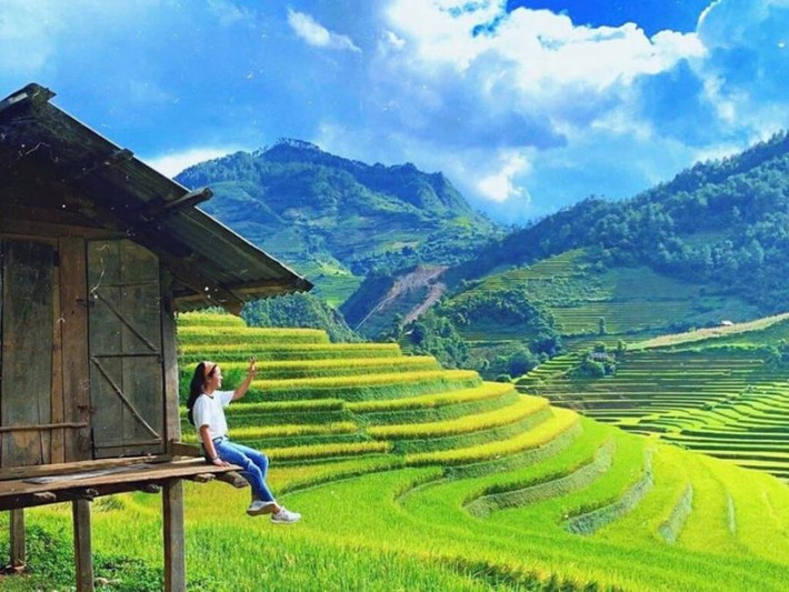Mù Cang Chải mùa lúa chín và hoa tam giác mạch đang là điểm đến thu hút nhiều khách du lịch.