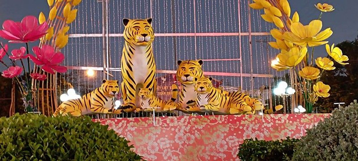 Đặc biệt nhất phải kể đến là ánh mắt có phần xéo sắc, có thể làm bất kỳ ai nghiêng ngả vì phải... cười. Ảnh: Nhật Hồ