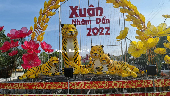 Cận cảnh cặp mắt và hai nanh của gia đình Hổ nhìn khá lạ, thu hút sự chú ý của cư dân mạng mấy ngày qua. Ảnh: Fanpage Bạc Liêu 24h
