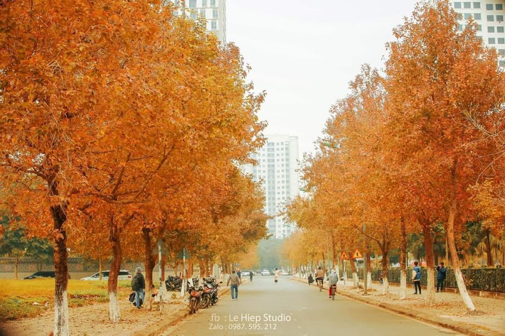 Theo nhiều cư dân mạng nhận xét, không gian tại con đường đậm chất Hàn Quốc này toát lên vẻ thơ mộng, thích hợp cho những ai thích chụp ảnh "deep". Ảnh: Le Hiep/ Hà Nội Riviu