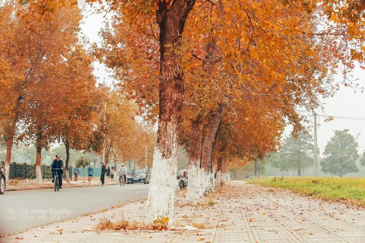 Đây được coi là địa điểm sống ảo dành cho giới trẻ Hà thành vào dịp cuối năm. Ảnh: Le Hiep/ Hà Nội Riviu