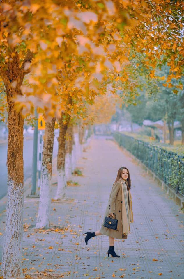 Dịp cuối tuần này là thời điểm lý tưởng để giới trẻ Hà thành tranh thủ ghi lại khoảnh khắc đẹp như Hàn Quốc trước thềm năm mới.