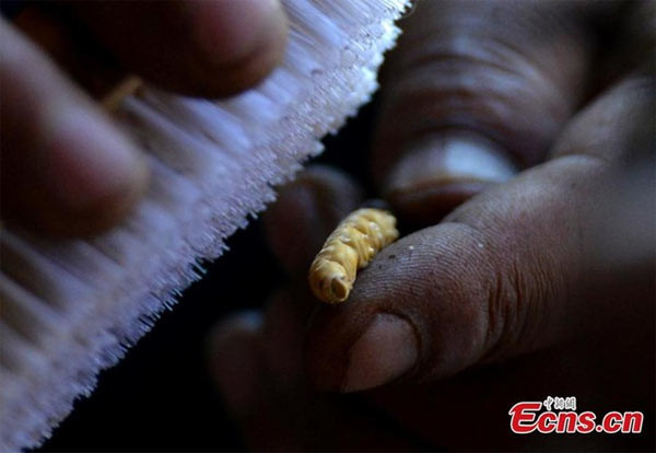 Chủ cửa hàng lau sạch sản phẩm bằng bàn chải.