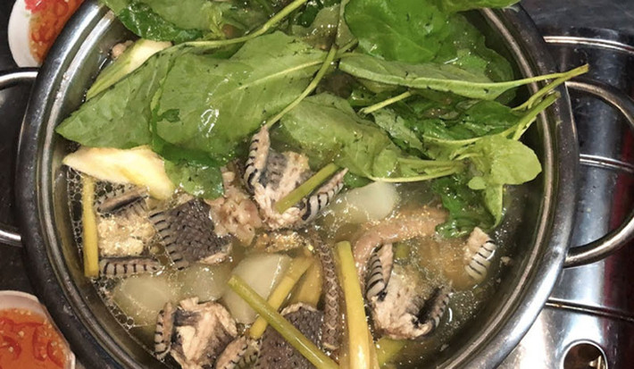 Nếu muốn thử một món ăn “lạ miệng” hơn, đừng bỏ qua đẻn biển – đặc sản vùng biển Nhật Lệ. Đẻn là loài rắn biển nhỏ, thân mềm, thịt thơm, thường được chế biến thành các món xào sả ớt, nướng muối ớt hay thậm chí ngâm rượu. Vị ngọt thanh, cay nồng của món ăn này khiến du khách ăn một lần là nhớ mãi.