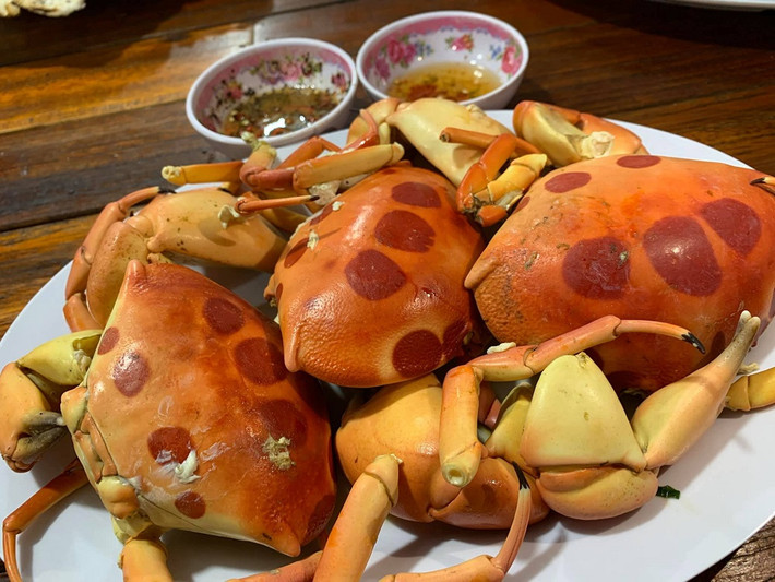 Đến Phú Quý mà không thưởng thức hải sản là một thiếu sót lớn. Từ cua huỳnh đế, mực một nắng, cá mú, cho đến nhum nướng mỡ hành,... – tất cả đều tươi rói và được chế biến theo phong cách địa phương.