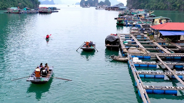 Người dân chủ yếu sinh sống bằng nghề đánh bắt và nuôi trồng thủy sản. Tuy mộc mạc, giản dị, nhưng họ vẫn giữ được nét văn hóa riêng, đậm chất ngư dân vùng Đông Bắc.