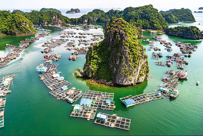 Cách thành phố Hạ Long khoảng 20km đường biển, Cửa Vạn thuộc xã Hùng Thắng, là một trong những làng chài cổ nhất Việt Nam, với lịch sử hàng trăm năm gắn bó với biển cả. Ảnh Internet