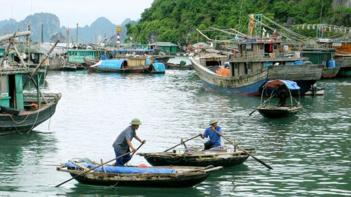Trong những năm gần đây, du lịch sinh thái và cộng đồng tại Cửa Vạn đang được thúc đẩy theo hướng bền vững. Các tour du lịch không chỉ giới thiệu cảnh quan mà còn giúp du khách hiểu hơn về văn hóa, con người, đồng thời góp phần bảo tồn giá trị truyền thống của làng chài. Ảnh Internet