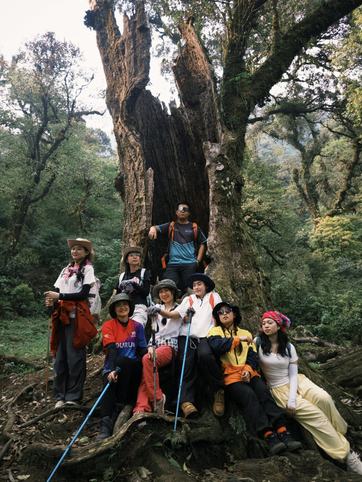 Trekking Tả Liên Sơn không đơn thuần là chinh phục một đỉnh cao, mà còn là hành trình chữa lành. Ảnh Hoàng Ba Đình