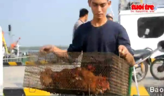 Anh em trên tàu chuẩn bị cả gà sống để đón Tết.