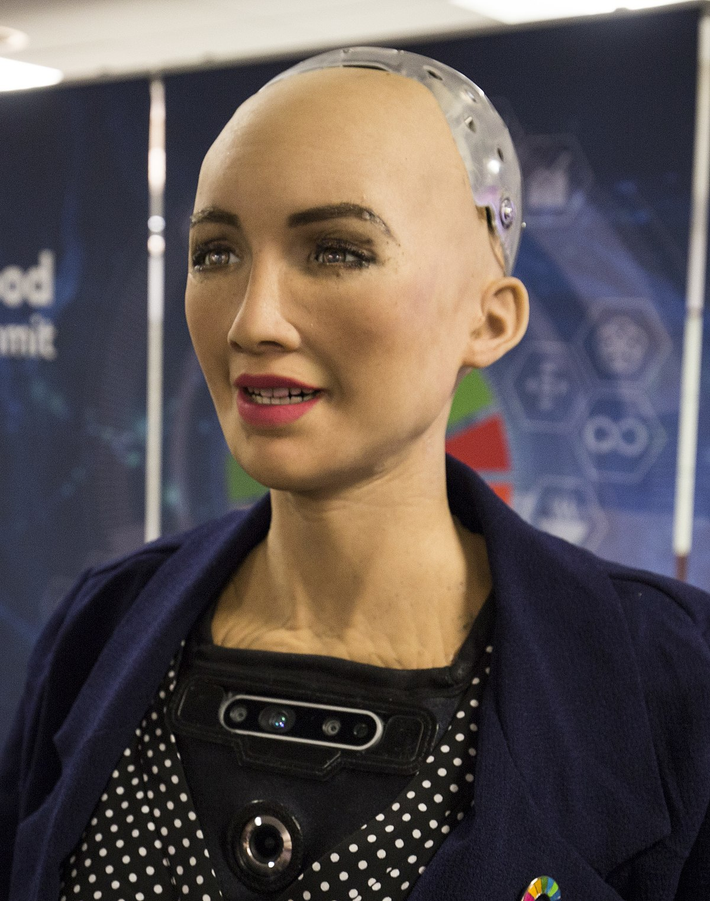 1. Sophia, sản phẩm của công ty Hanson Robotics, là một trong những robot nổi tiếng nhất thế giới. Ra mắt vào năm 2016, Sophia được trang bị AI tiên tiến, giúp cô có thể giao tiếp với con người một cách tự nhiên. Không chỉ có khả năng trả lời câu hỏi, Sophia còn có thể biểu cảm gương mặt, nhận diện cảm xúc, và thậm chí là đưa ra các quan điểm cá nhân. Sophia đã được cấp quyền công dân danh dự ở Ả Rập Xê Út, trở thành robot đầu tiên có quyền công dân, thể hiện tầm quan trọng của cô trong thế giới công nghệ. (Ảnh: Wikipedia)
